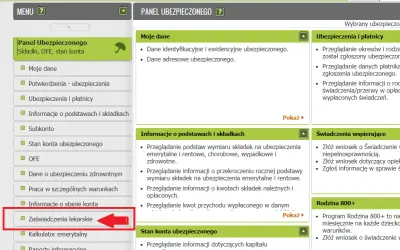 Jak wygląda L4? Zobacz, co powinno zawierać zwolnienie chorobowe
